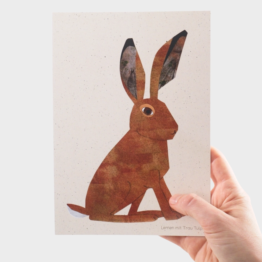 Hand hält eine illustrierte Lernkarte mit Hasenmotiv zur Veranschaulichung der Grösse des Lehrmaterials.