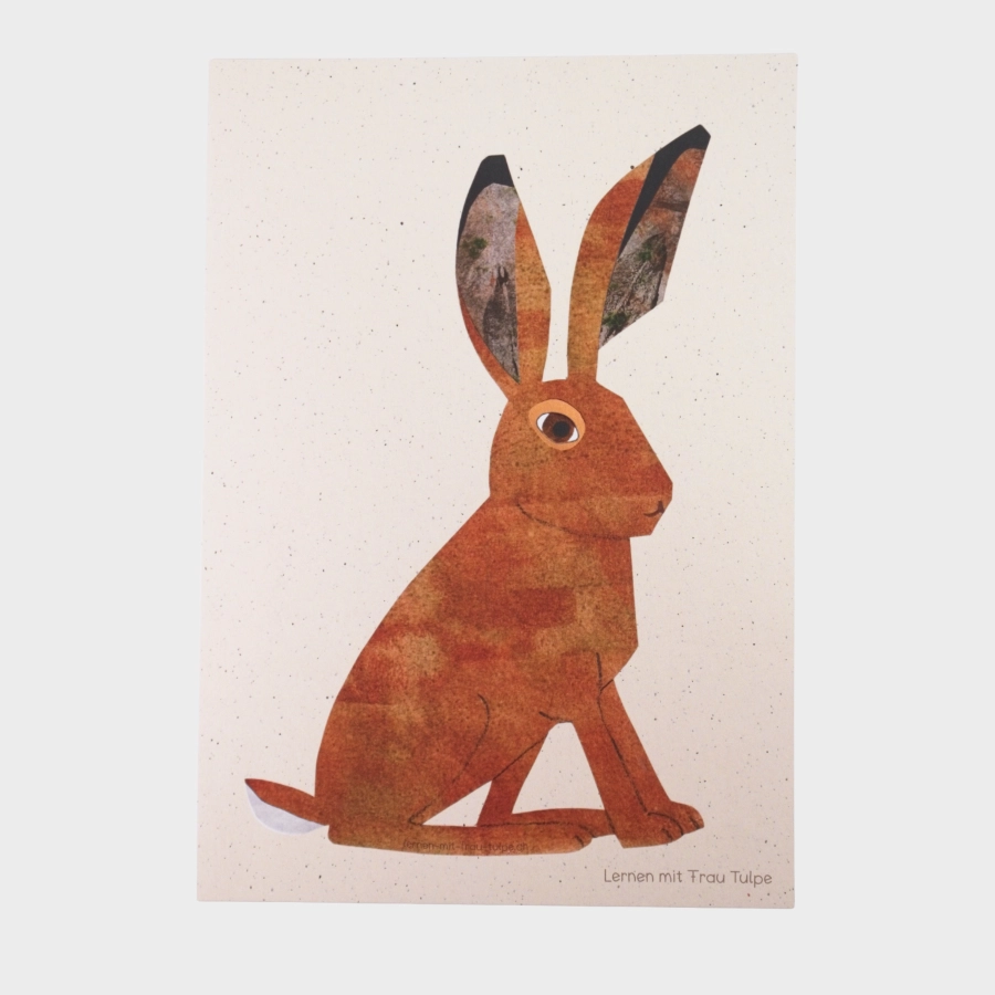 Detailreiche Illustration eines braunen Hasen auf einer Lernkarte für die Zyklus 1.