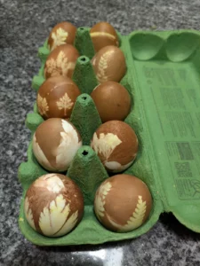 Natürlich gefärbte Ostereier mit Blattmuster in grünem Eierkarton, Bastelmaterial für Schweizer Ostertraditionen.